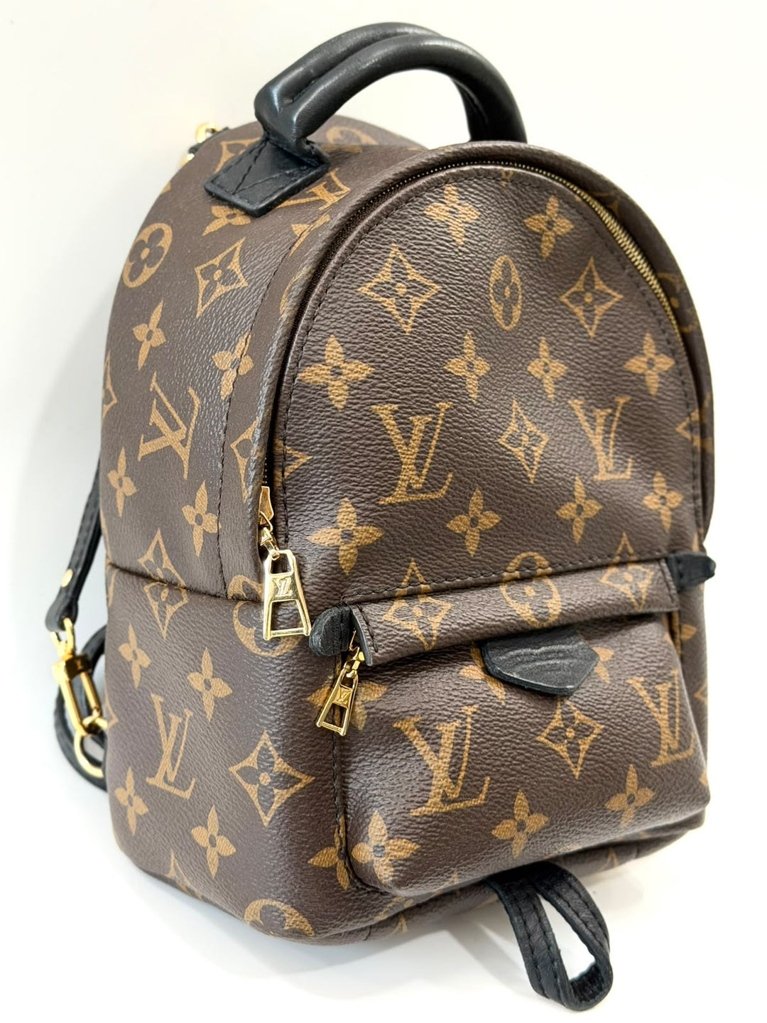 LOUIS VUITTON MONOGRAM PALM SPRINGS MINI BACKPACK