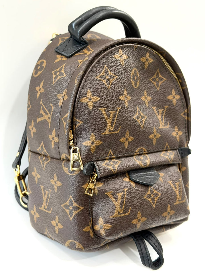 LOUIS VUITTON MONOGRAM PALM SPRINGS MINI BACKPACK