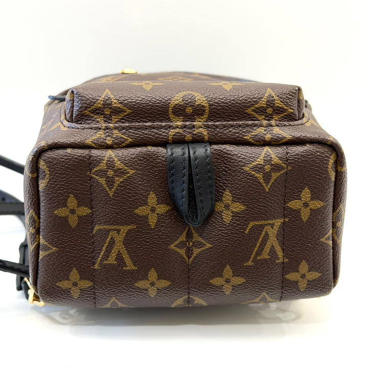 LOUIS VUITTON MONOGRAM PALM SPRINGS MINI BACKPACK