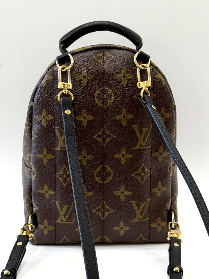 LOUIS VUITTON MONOGRAM PALM SPRINGS MINI BACKPACK