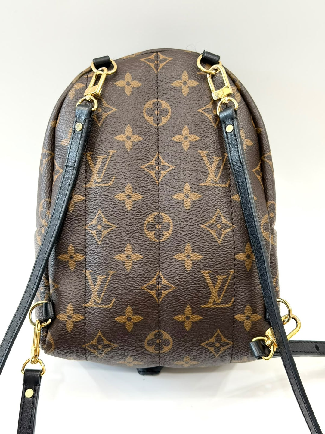 LOUIS VUITTON MONOGRAM PALM SPRINGS MINI BACKPACK