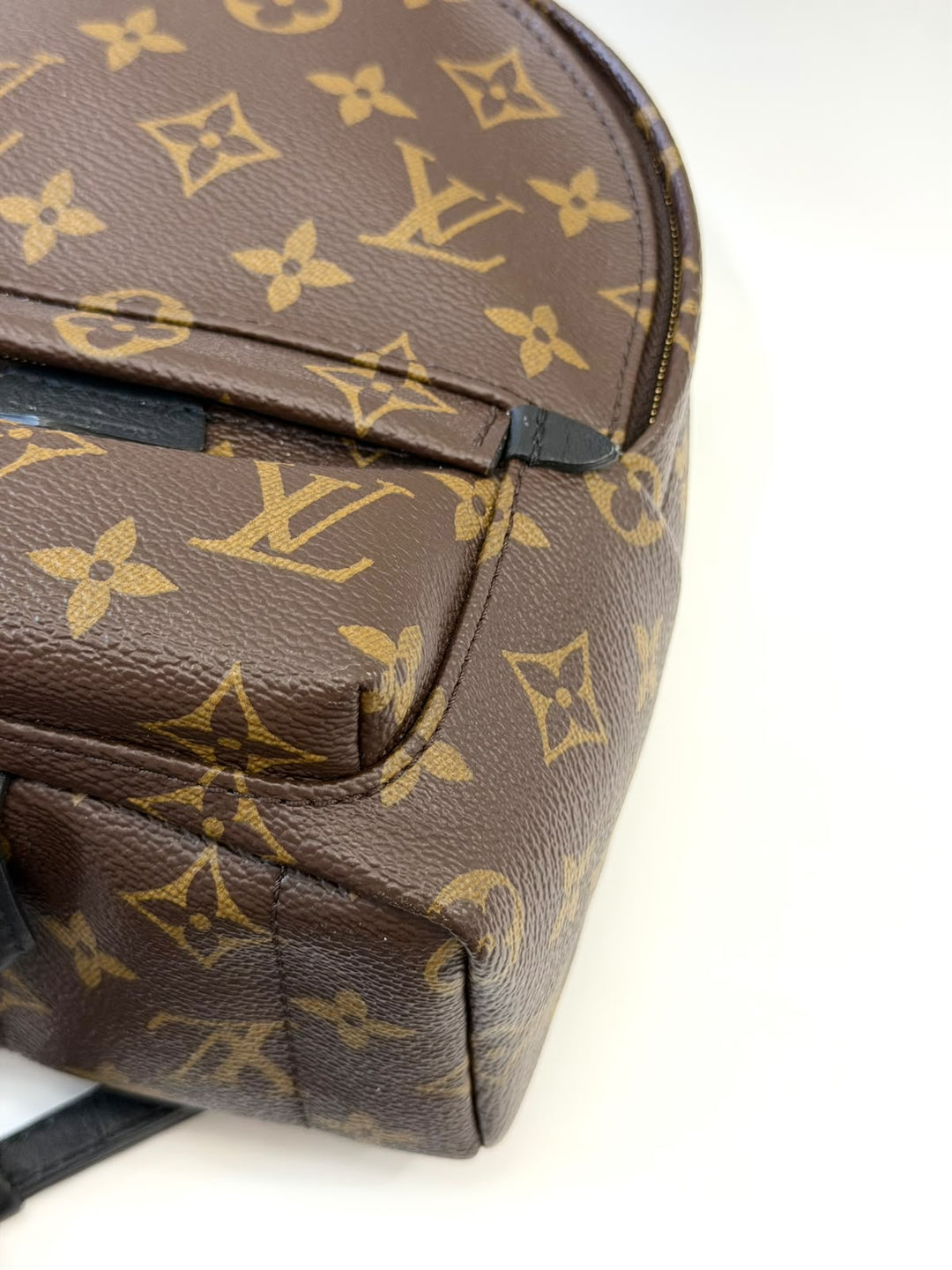 LOUIS VUITTON MONOGRAM PALM SPRINGS MINI BACKPACK