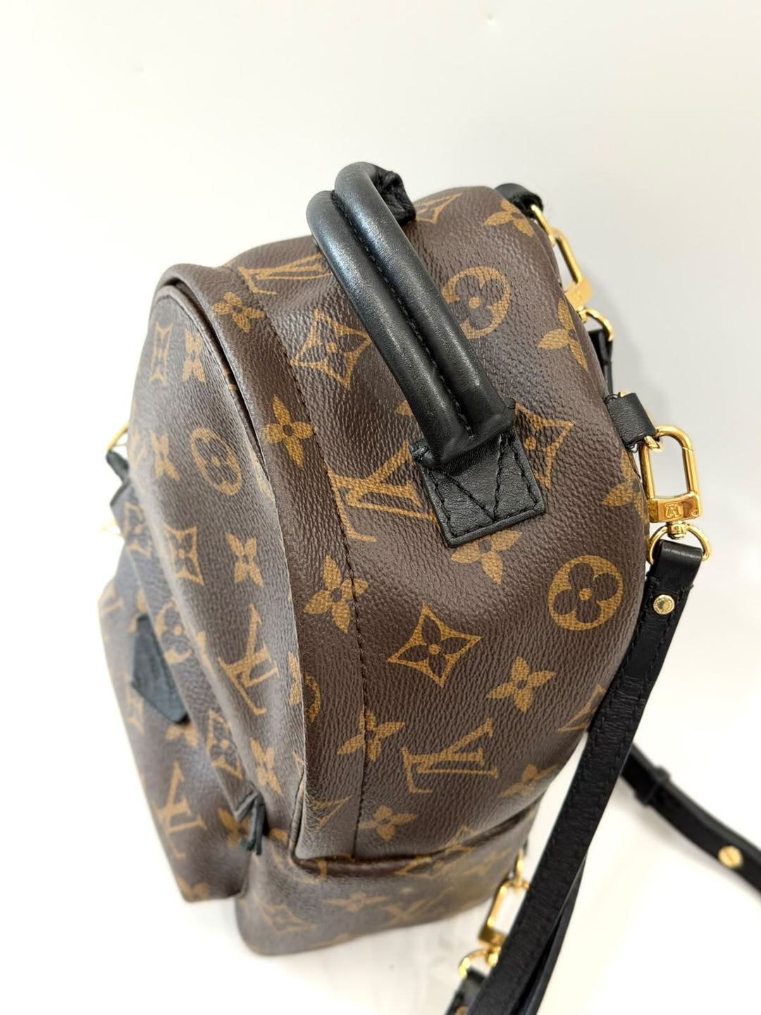 LOUIS VUITTON MONOGRAM PALM SPRINGS MINI BACKPACK