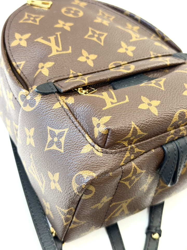 LOUIS VUITTON MONOGRAM PALM SPRINGS MINI BACKPACK