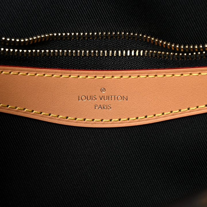 LOUIS VUITTON MONOGRAM DIANE CROSSBODY BAG