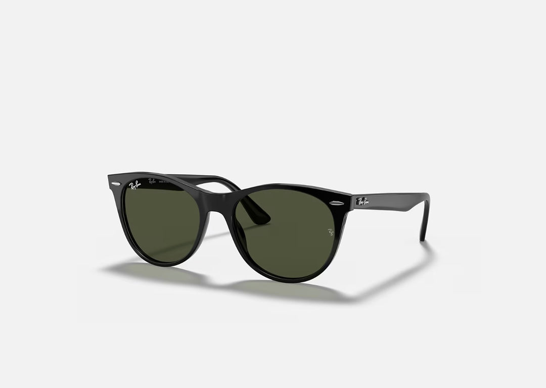 RAY-BAN WAYFARER CLASSIC ACETATE SUNGLASSES