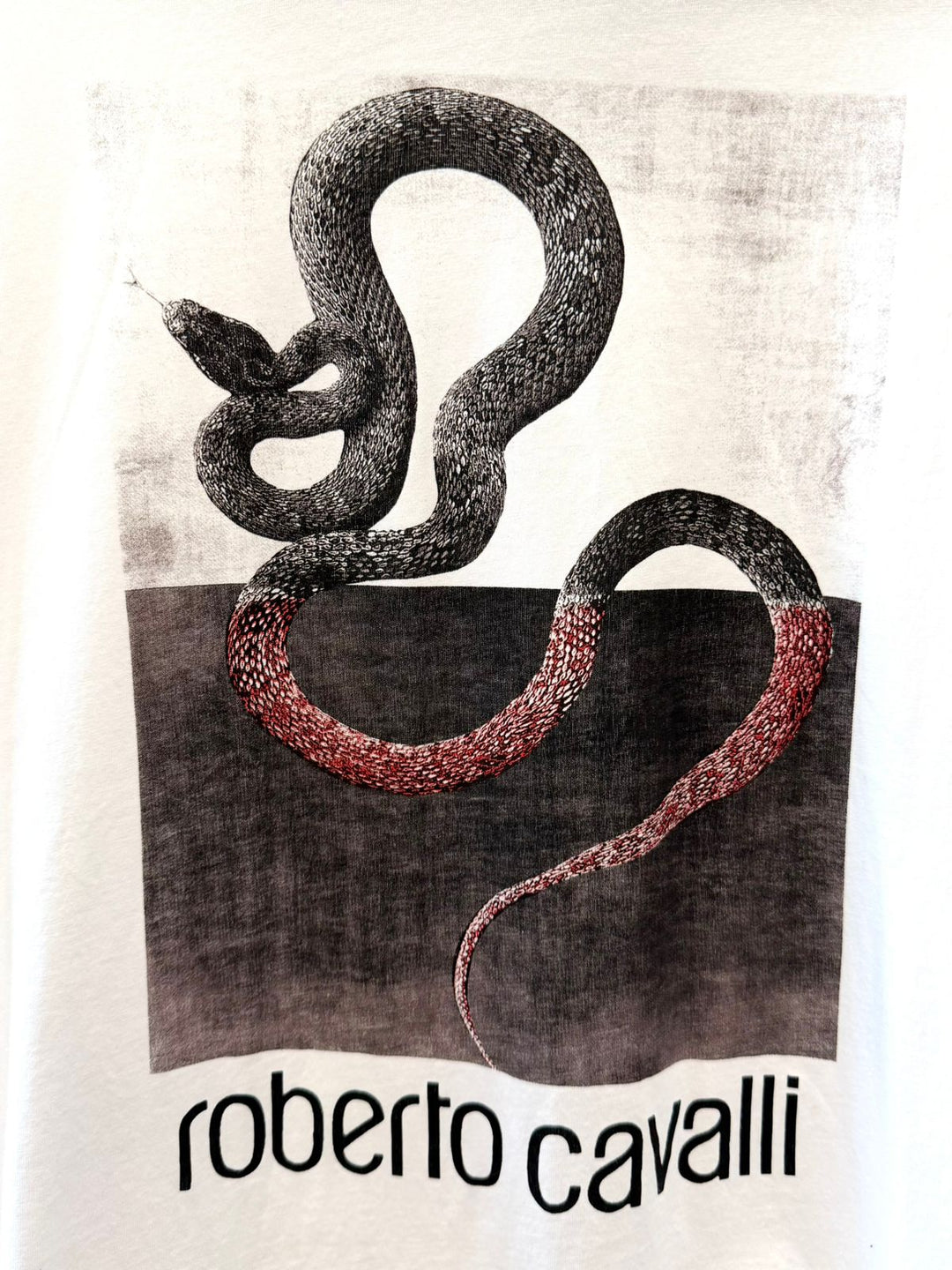 ROBERTO CAVALLI SNAKE PRINT MEN&