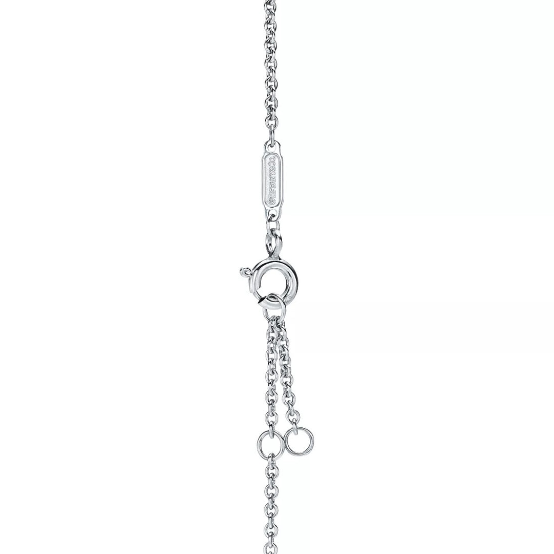 TIFFANY &amp; CO. 1837® INTERLOCKING CIRCLES STERLING SILVER CHAIN BRACELET