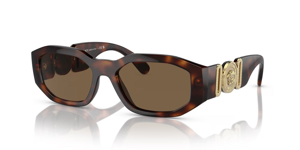 Havana medusa biggie sunglasses best sale