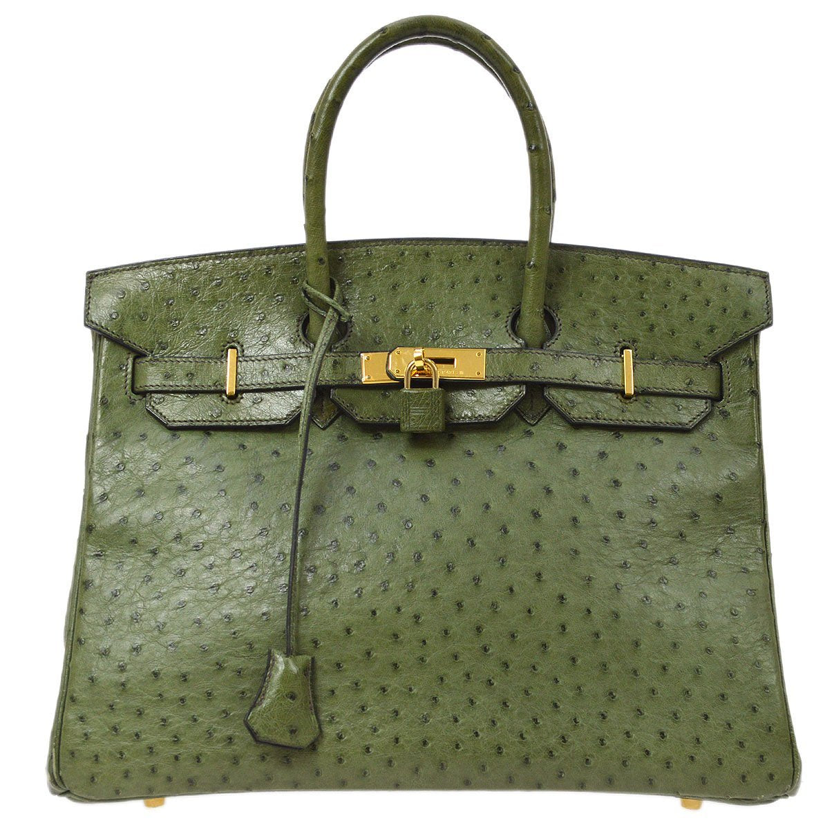 HERMÈS Ostrich Birkin Handbag – Caroline's Fashion Luxuries