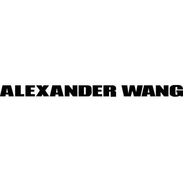 ALEXANDER WANG LOGO PRINT JOGGER JEANS – Caroline's Fashion Luxuries