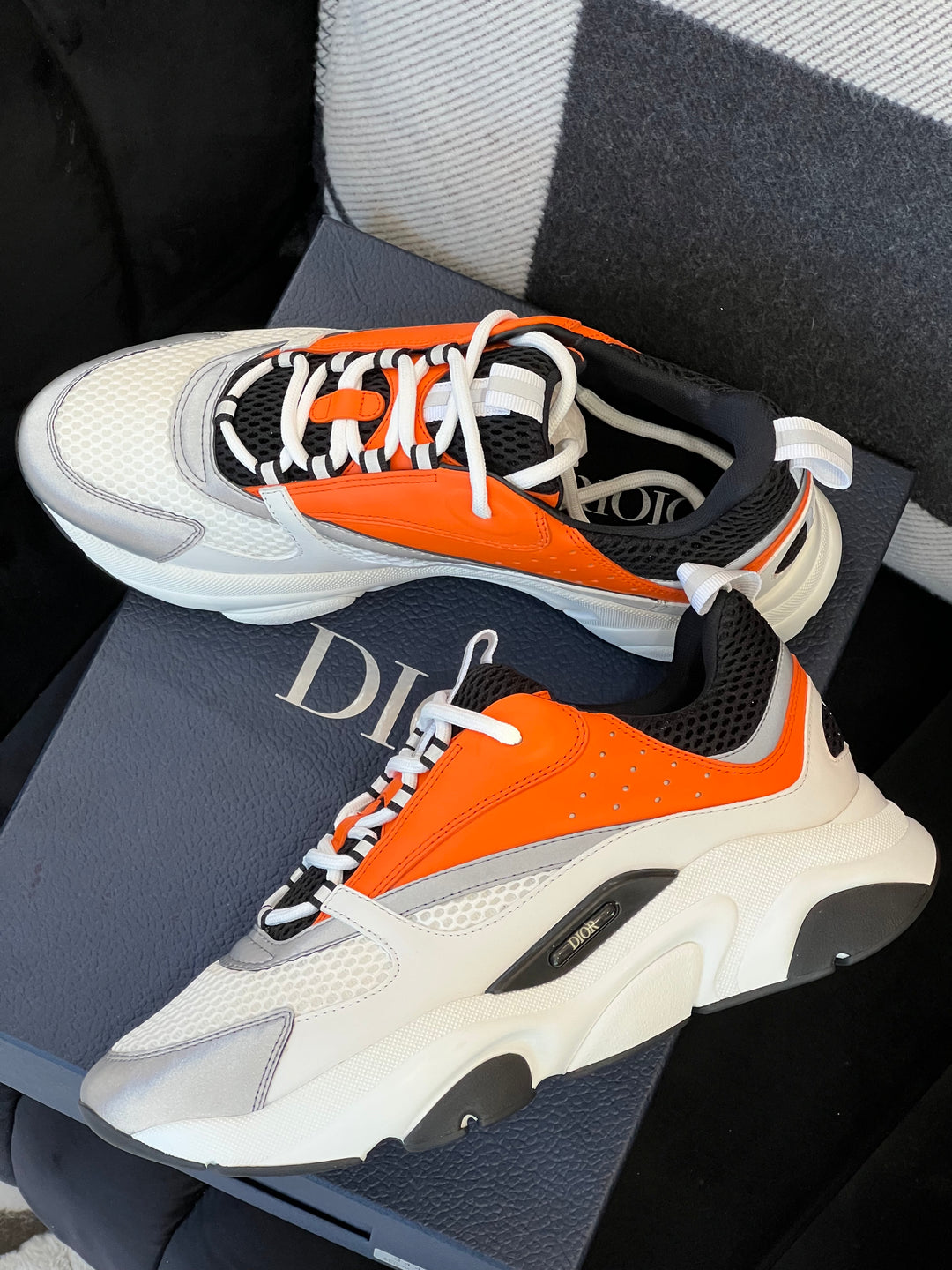 basket dior b22