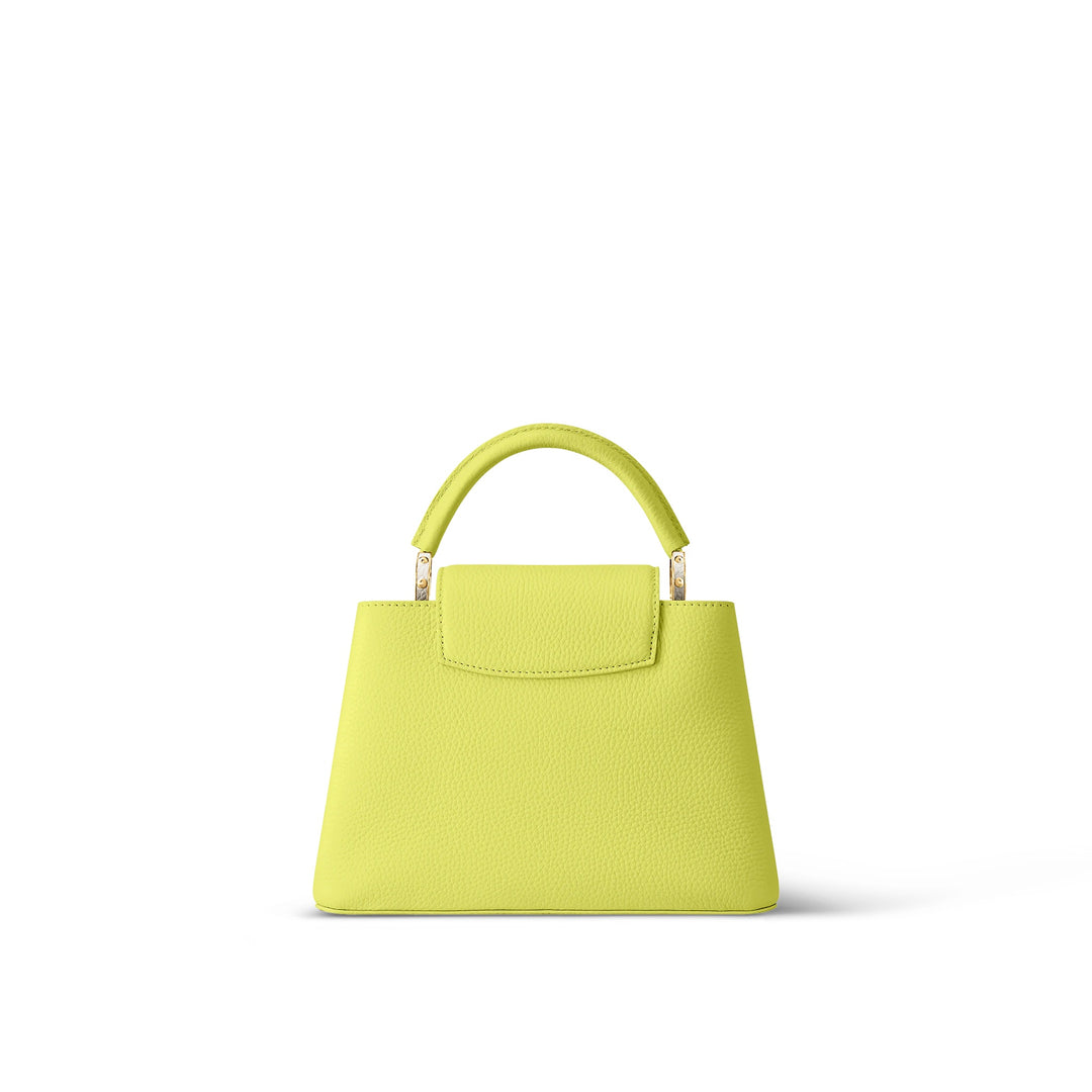 LOUIS VUITTON CAPUCINES MM LIMITED EDITION BAG