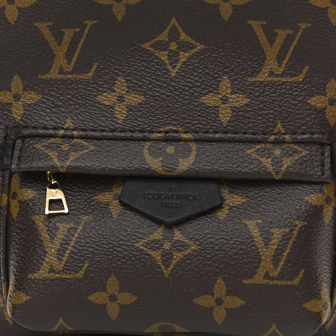 LOUIS VUITTON MONOGRAM PALM SPRINGS MINI BACKPACK