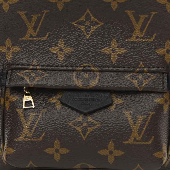 LOUIS VUITTON MONOGRAM PALM SPRINGS MINI BACKPACK