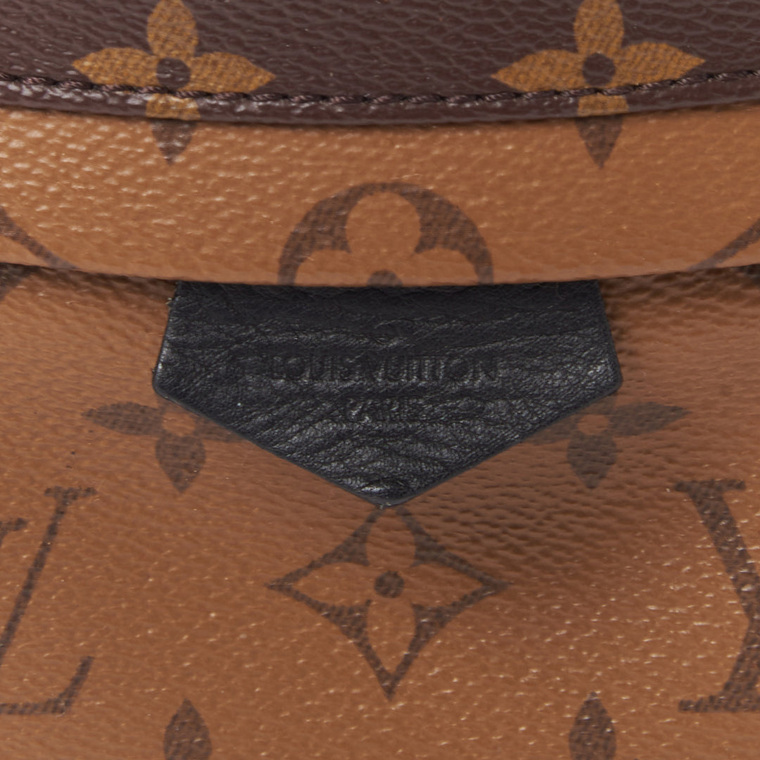 LOUIS VUITTON Monogram Palm Springs Backpack PM