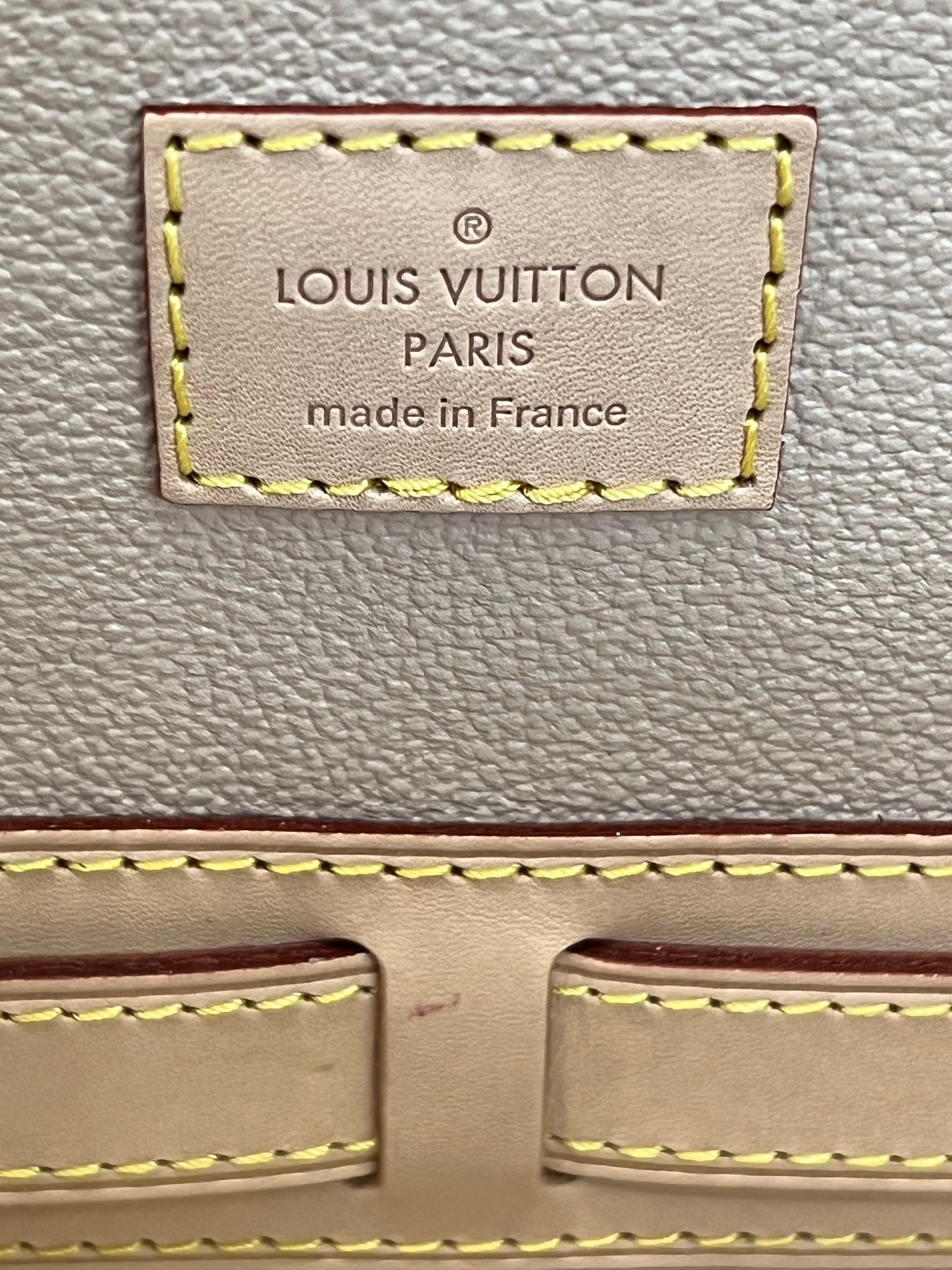 LOUIS VUITTON MONOGRAM BIKINI – Caroline's Fashion Luxuries