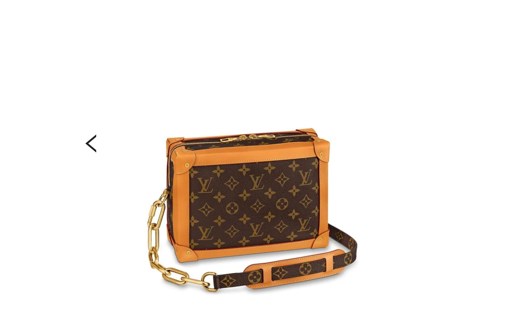 Louis Vuitton Soft Trunk Bag Monogram See Through Mesh at 1stDibs