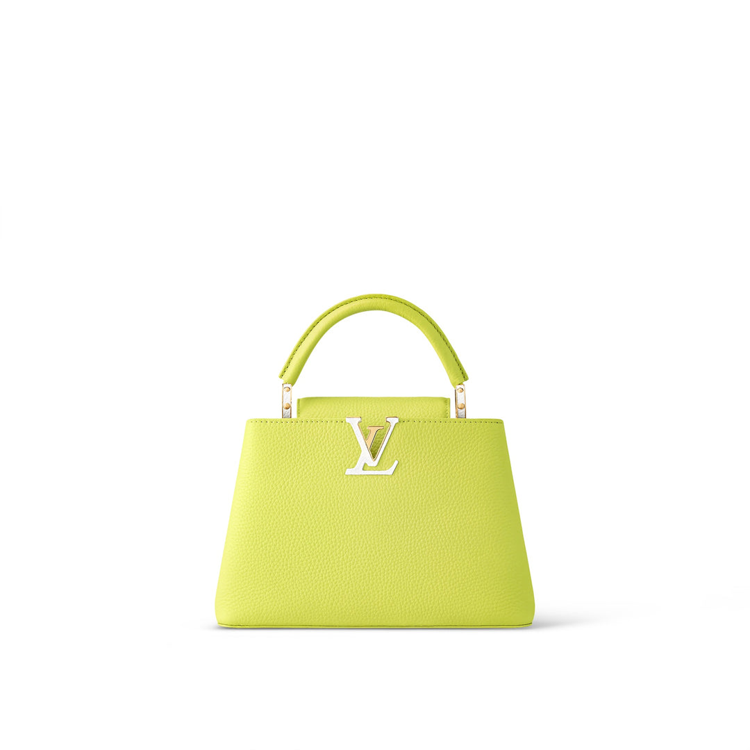 LOUIS VUITTON CAPUCINES MM LIMITED EDITION BAG