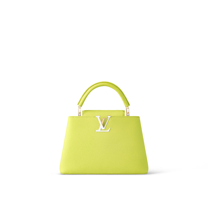 LOUIS VUITTON CAPUCINES MM LIMITED EDITION BAG